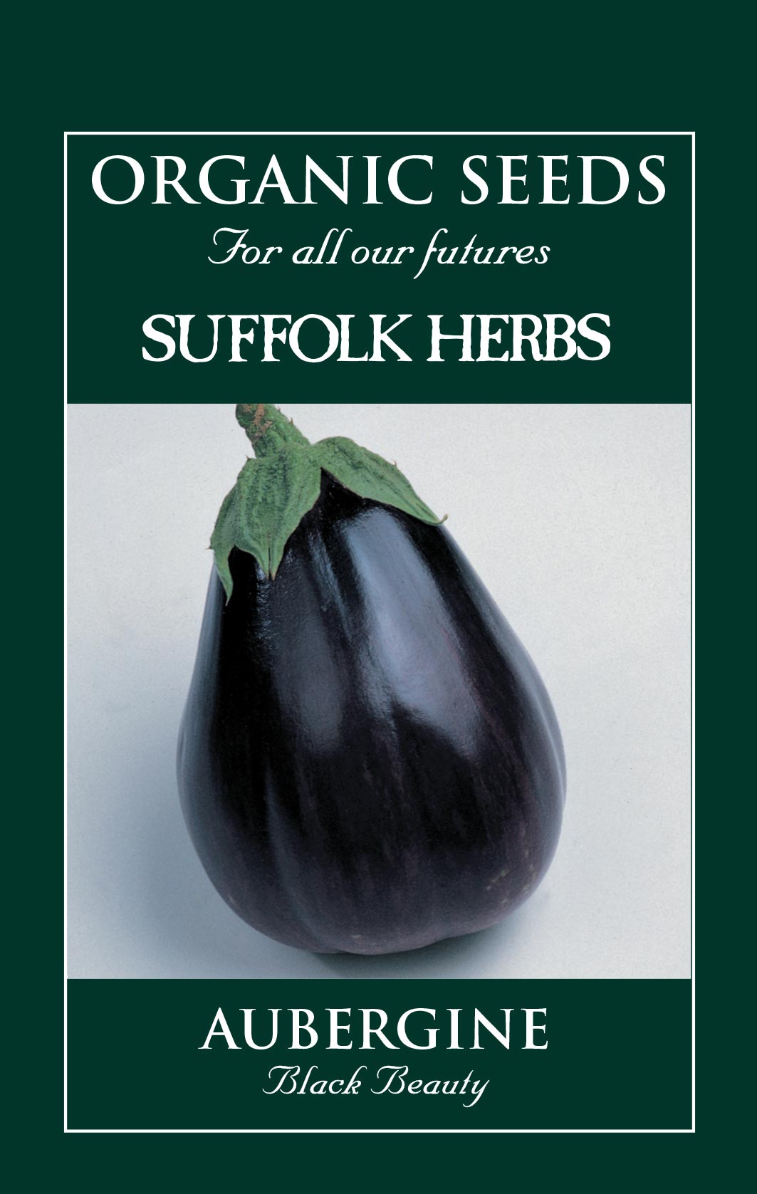 Organic Aubergine Black Beauty by Kings Seeds - Mill Race Garden Centre