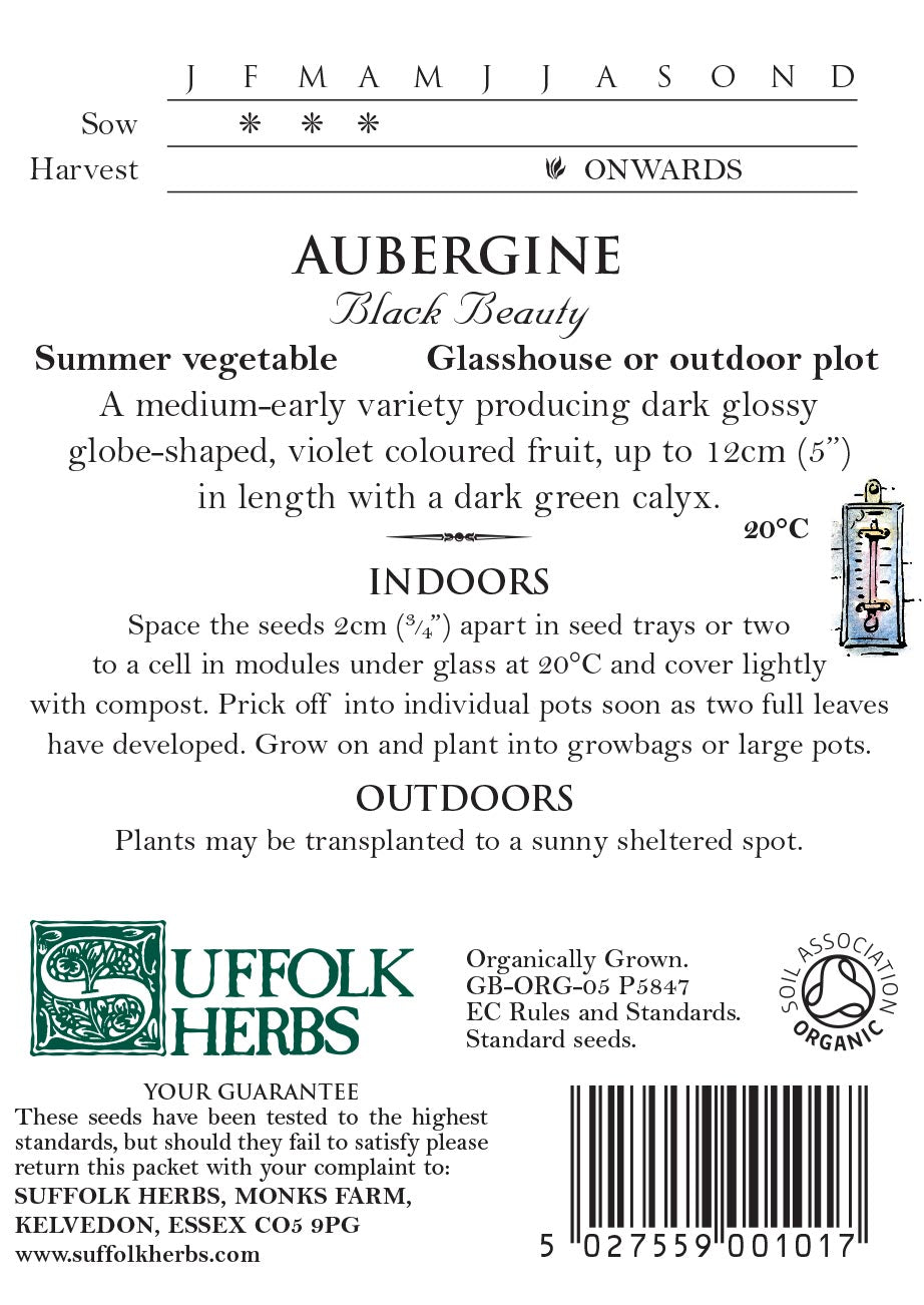 Organic Aubergine Black Beauty by Kings Seeds - Mill Race Garden Centre