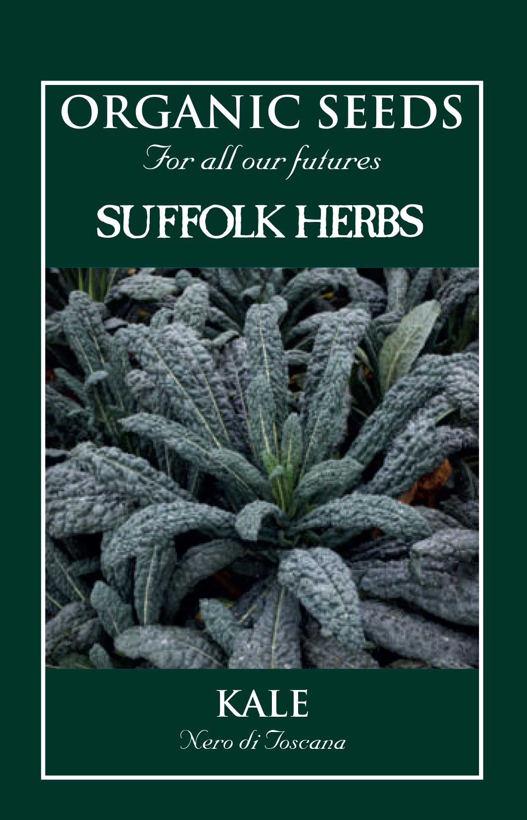 Organic Kale Nero Di Toscana by Kings Seeds - Mill Race Garden Centre