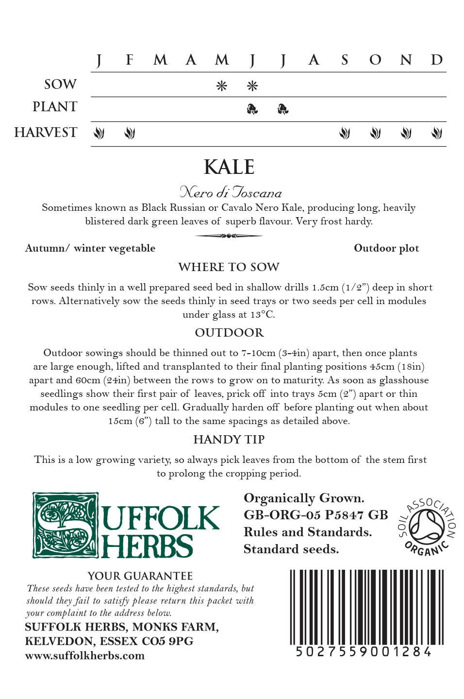 Organic Kale Nero Di Toscana by Kings Seeds - Mill Race Garden Centre
