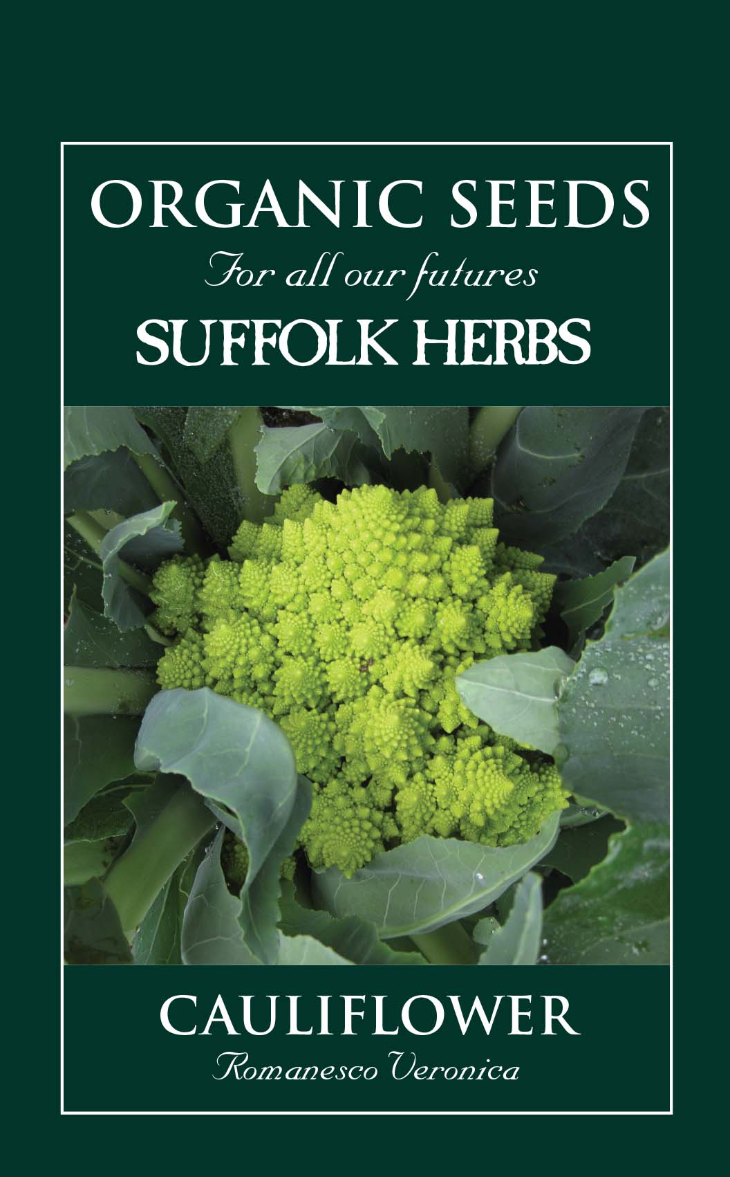 Organic Cauliflower Romanesco Veronica by Kings Seeds - Mill Race Garden Centre