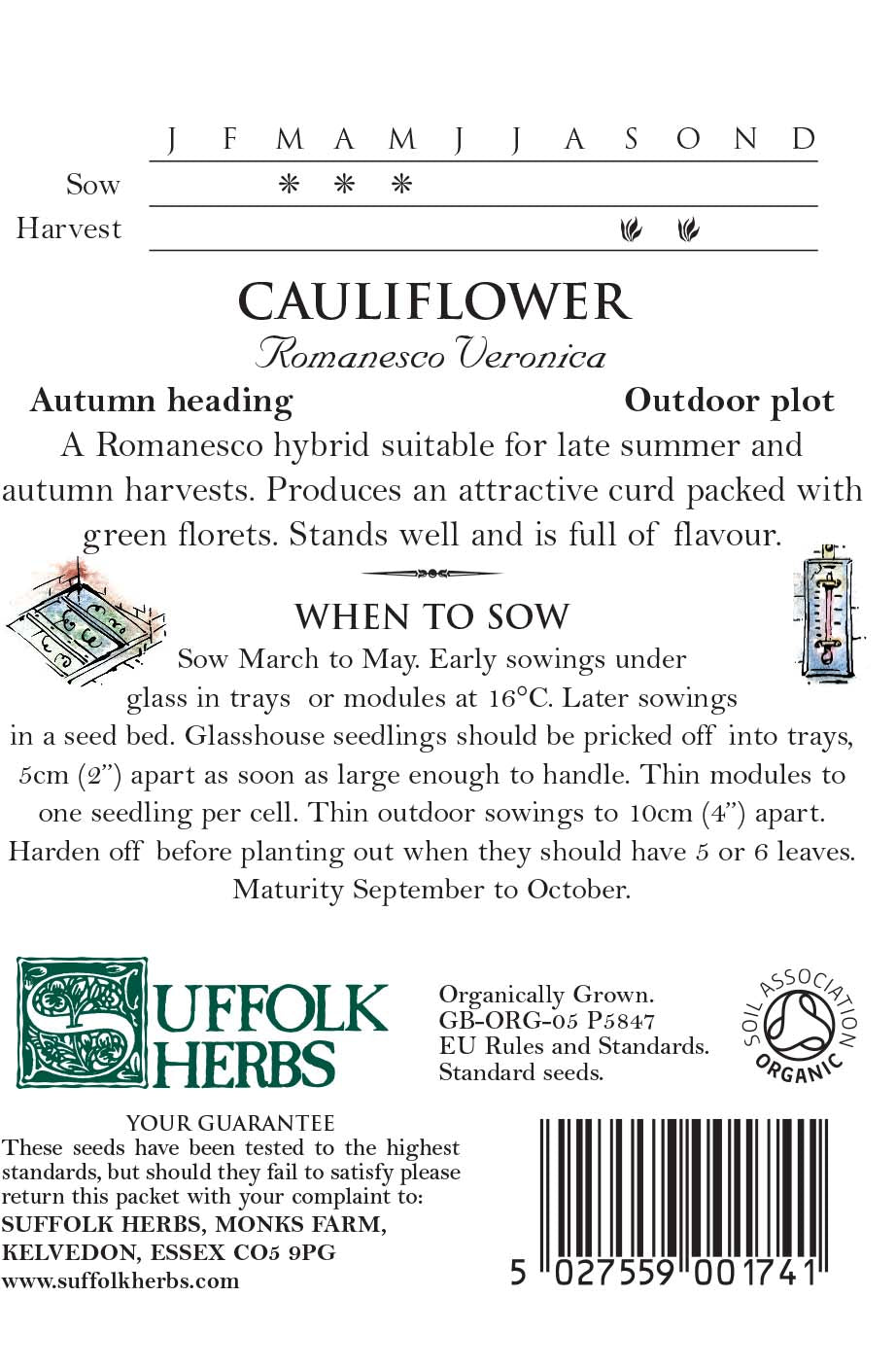 Organic Cauliflower Romanesco Veronica by Kings Seeds - Mill Race Garden Centre