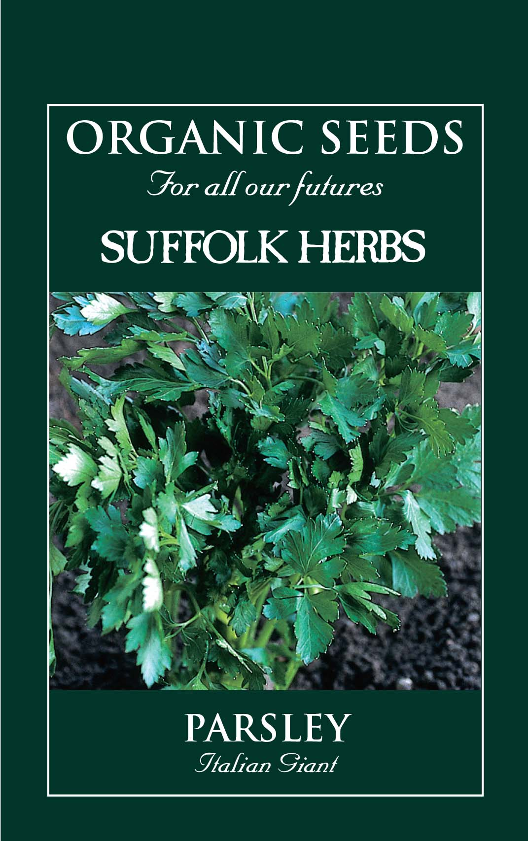 Organic Coriander Cilantro Seeds - Mill Race Garden Centre