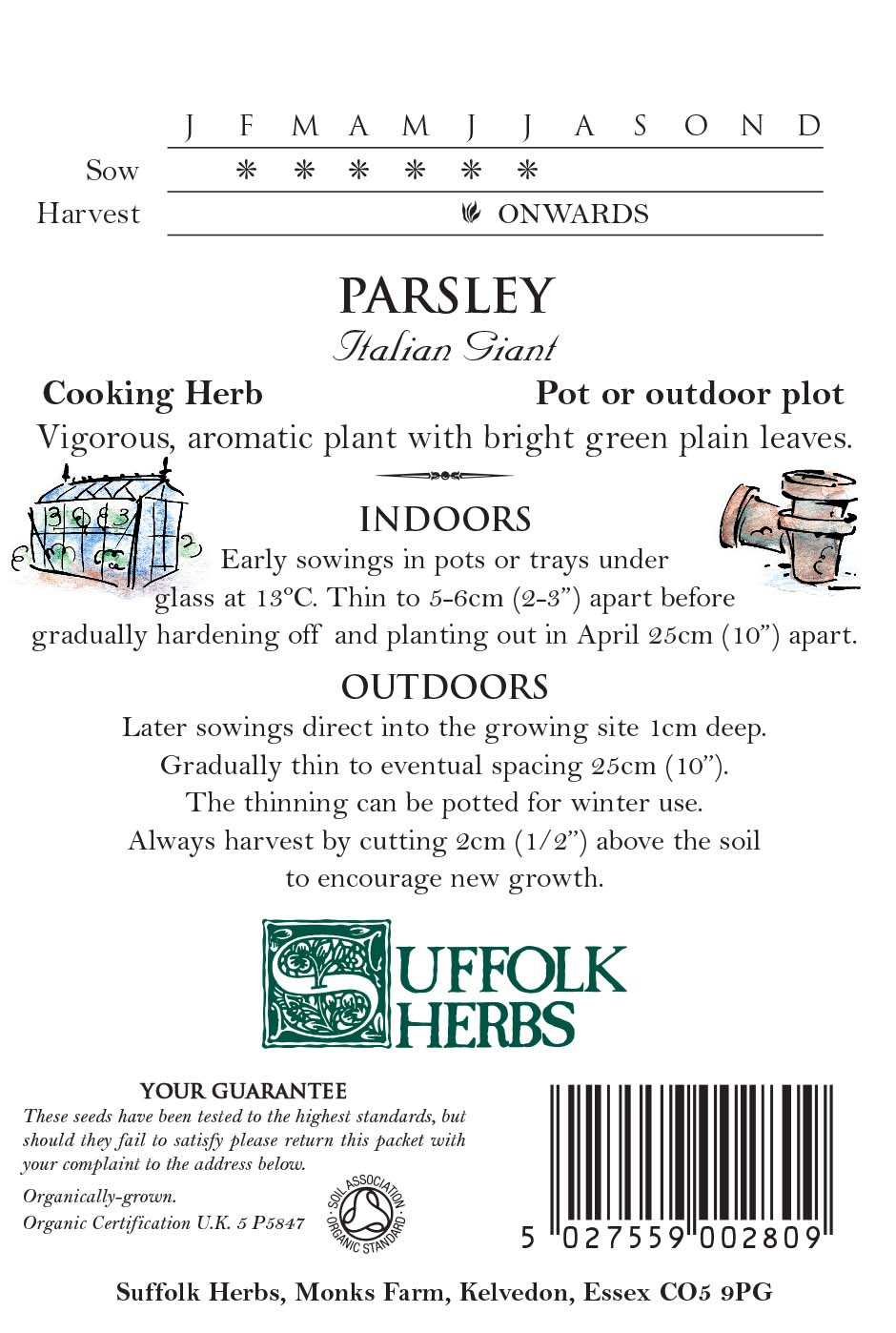 Organic Coriander Cilantro Seeds - Mill Race Garden Centre