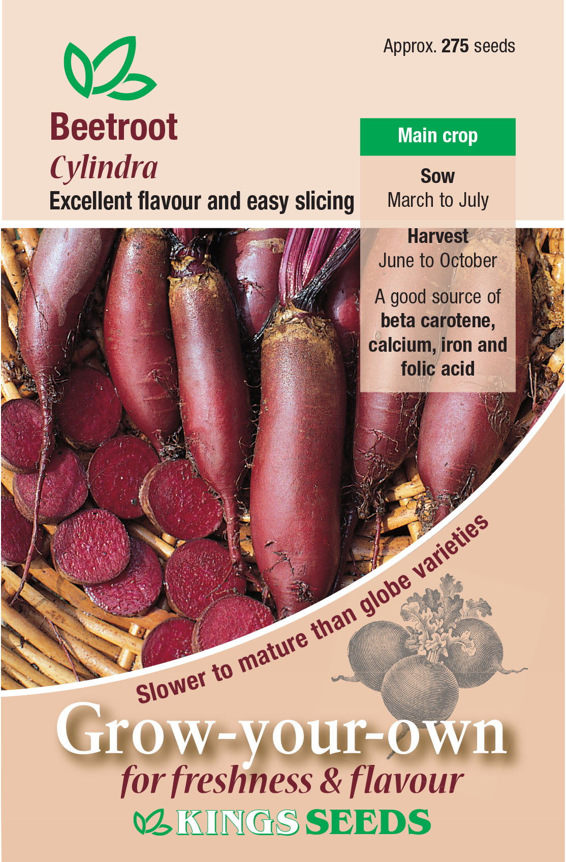 Beet Cylindra - Mill Race Garden Centre