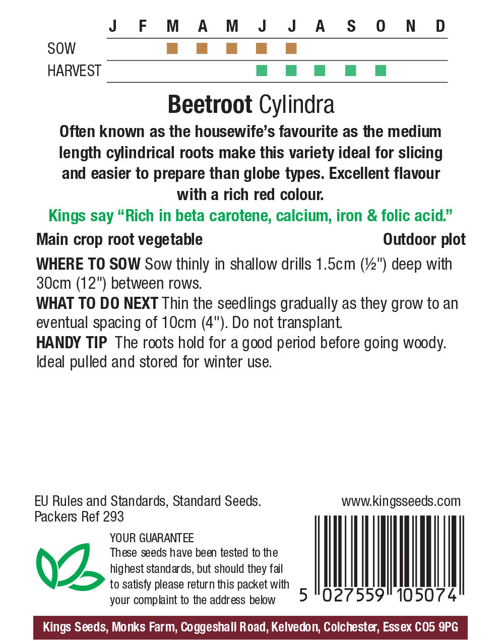 Beet Cylindra - Mill Race Garden Centre