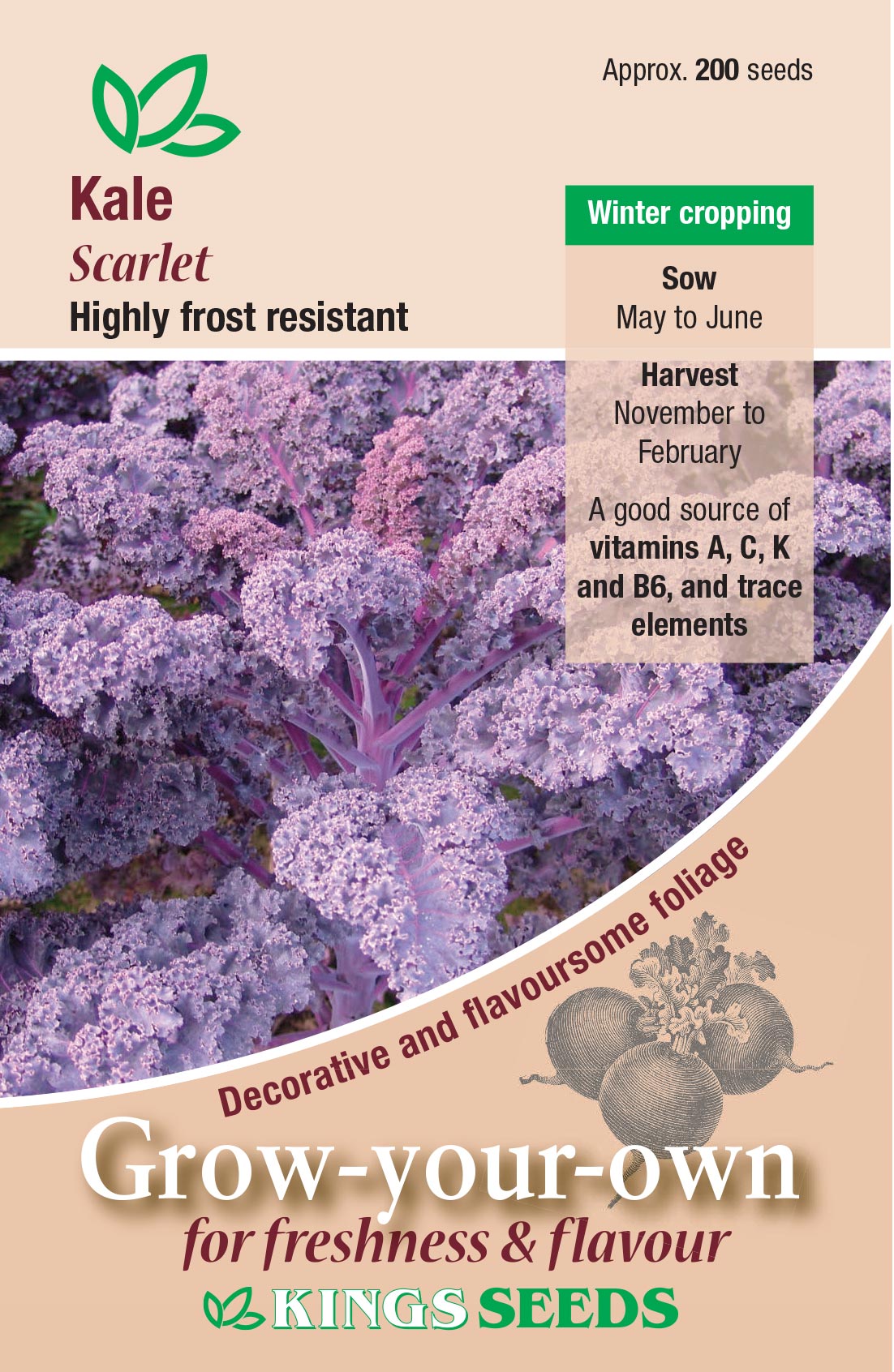 Kale Scarlet - Mill Race Garden Centre