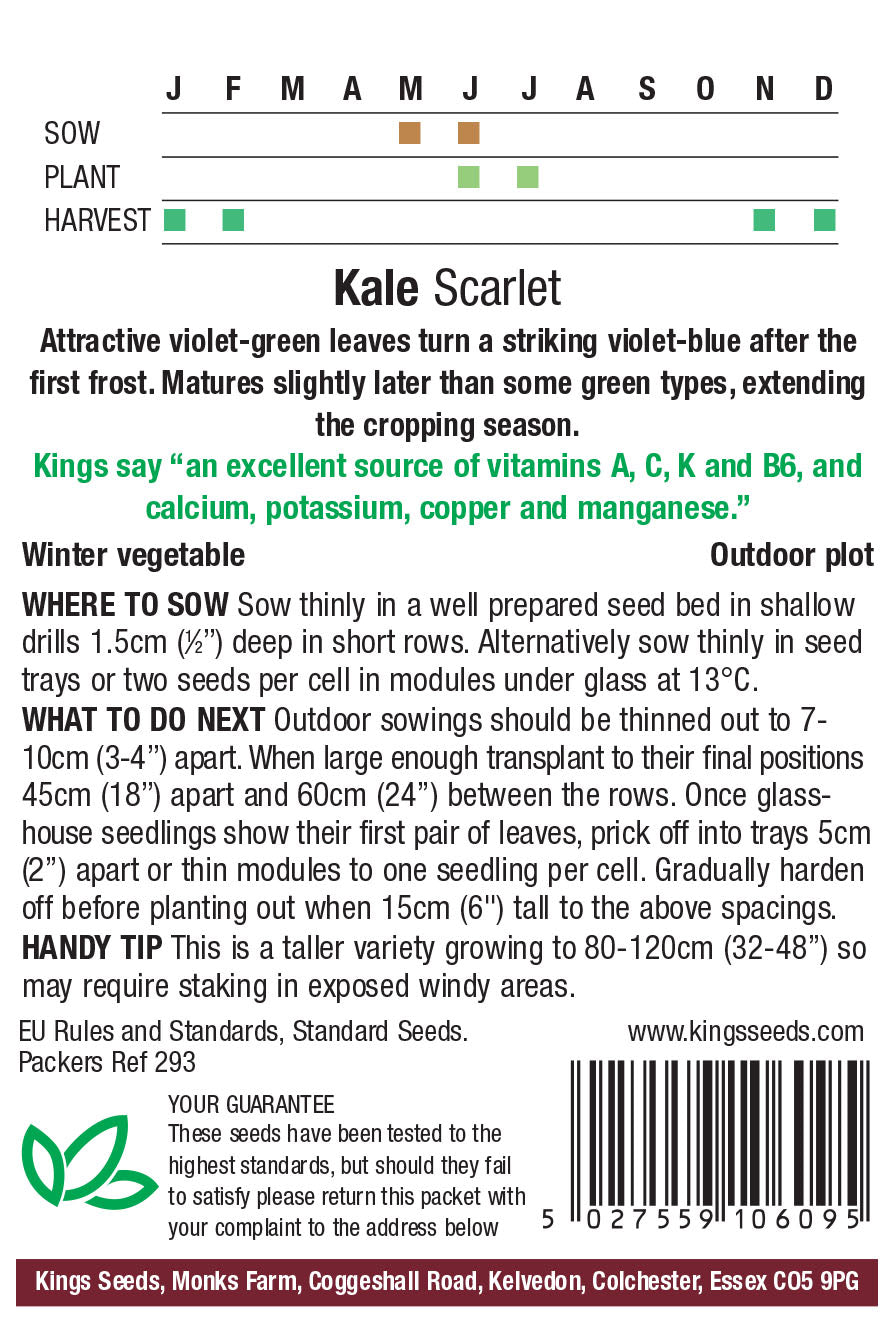 Kale Scarlet - Mill Race Garden Centre