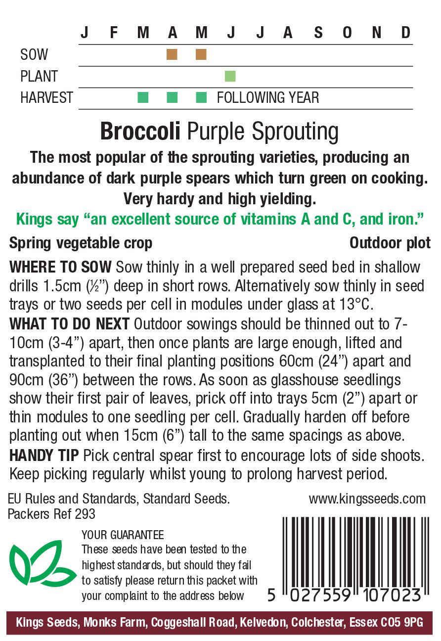 Broccoli Purple Sprouting - Mill Race Garden Centre