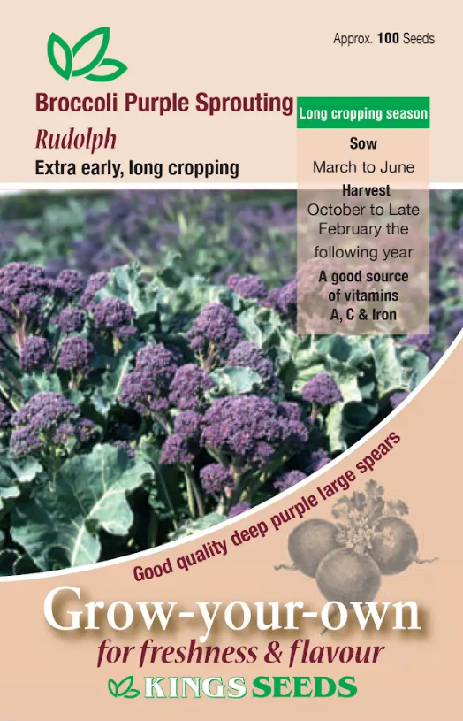 Broccoli Purple Sprouting Rudolph - Mill Race Garden Centre