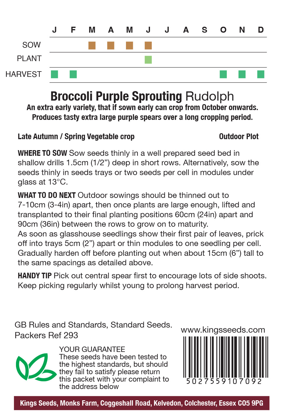 Broccoli Purple Sprouting Rudolph - Mill Race Garden Centre