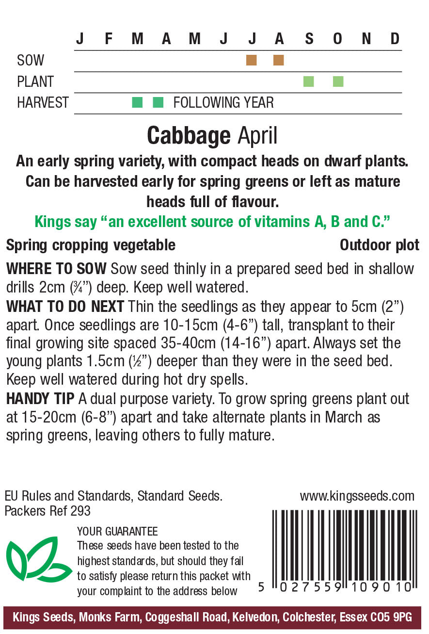 Cabbage April by Kings Seeds - Mill Race Garden Centre