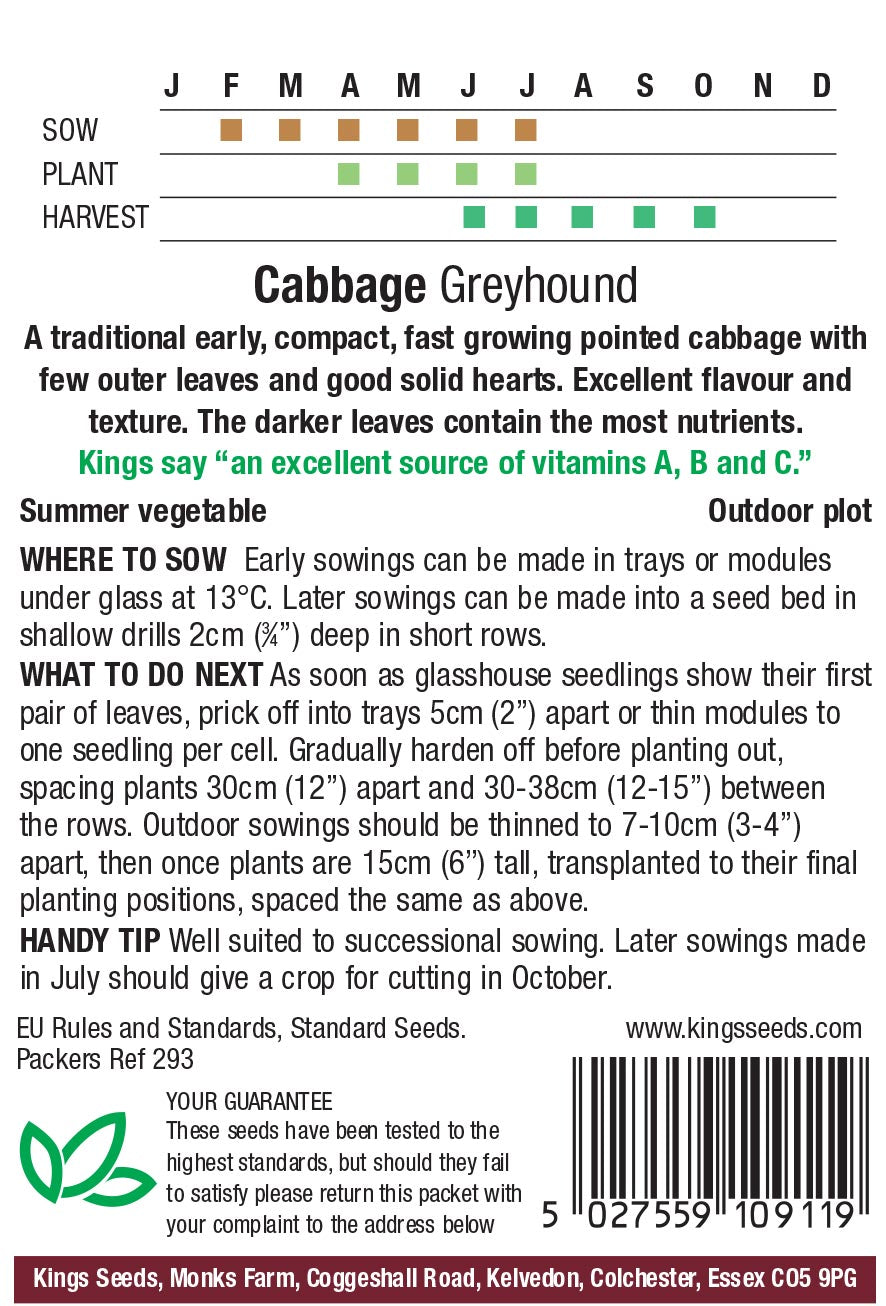 Cabbage Greyhound by Kings Seeds - Mill Race Garden Centre
