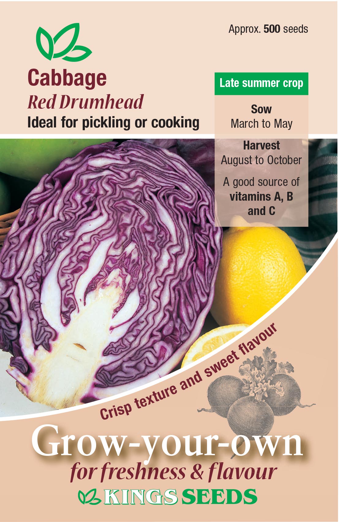 Cabbage Red Drumhead by Kings Seeds - Mill Race Garden Centre