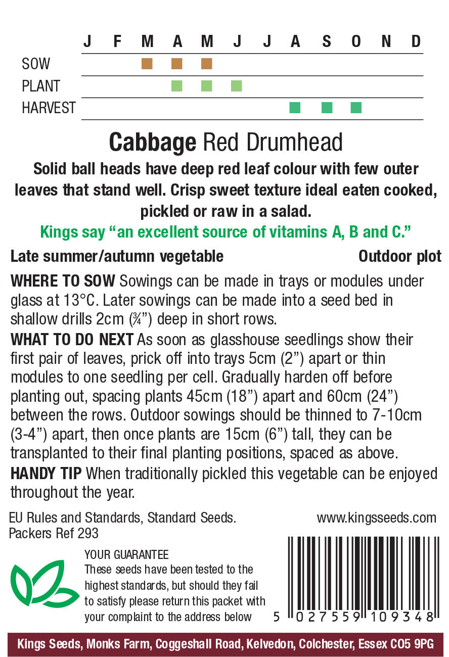 Cabbage Red Drumhead by Kings Seeds - Mill Race Garden Centre