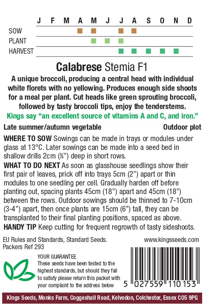 Cabbage Stonehead F1 Hybrid - Mill Race Garden Centre