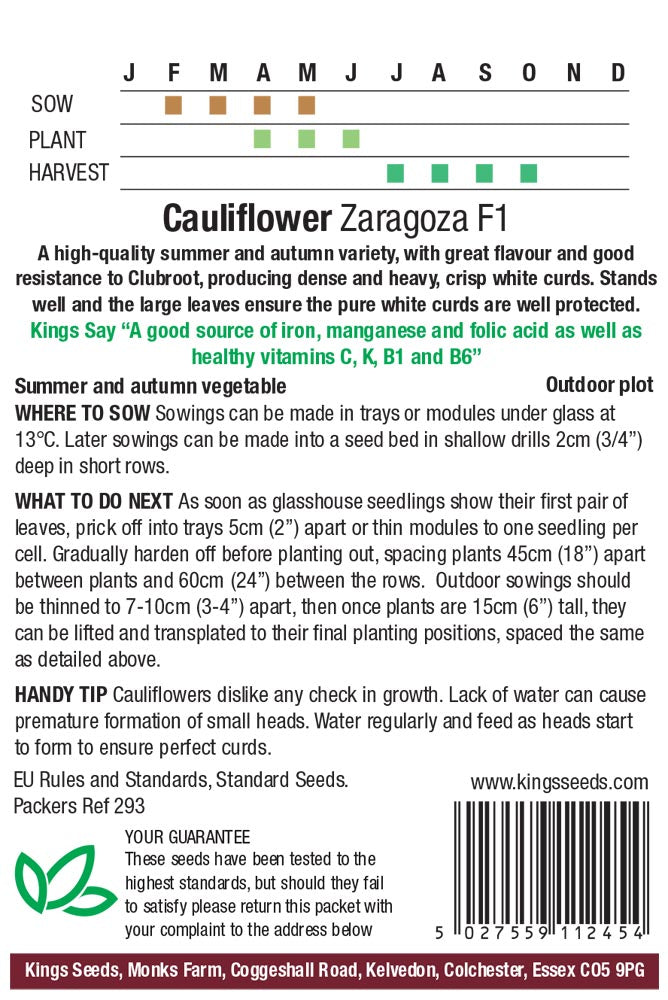 Cauliflower Zaragoza F1 by Kings Seeds - Mill Race Garden Centre