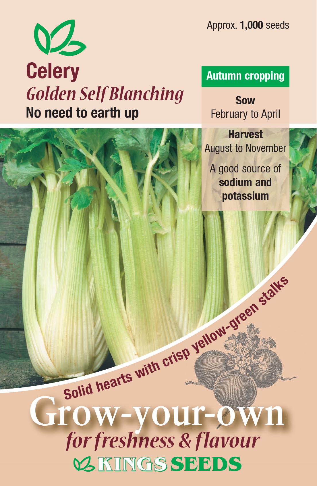 Celery Golden Self Blanching by Kings Seeds - Mill Race Garden Centre