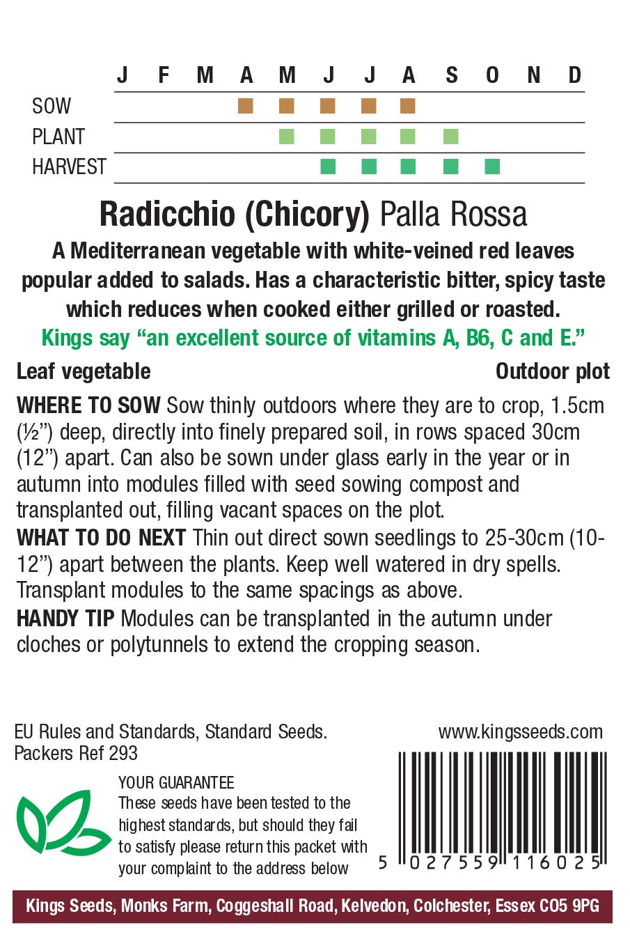 Radicchio Palla Rossa - Mill Race Garden Centre