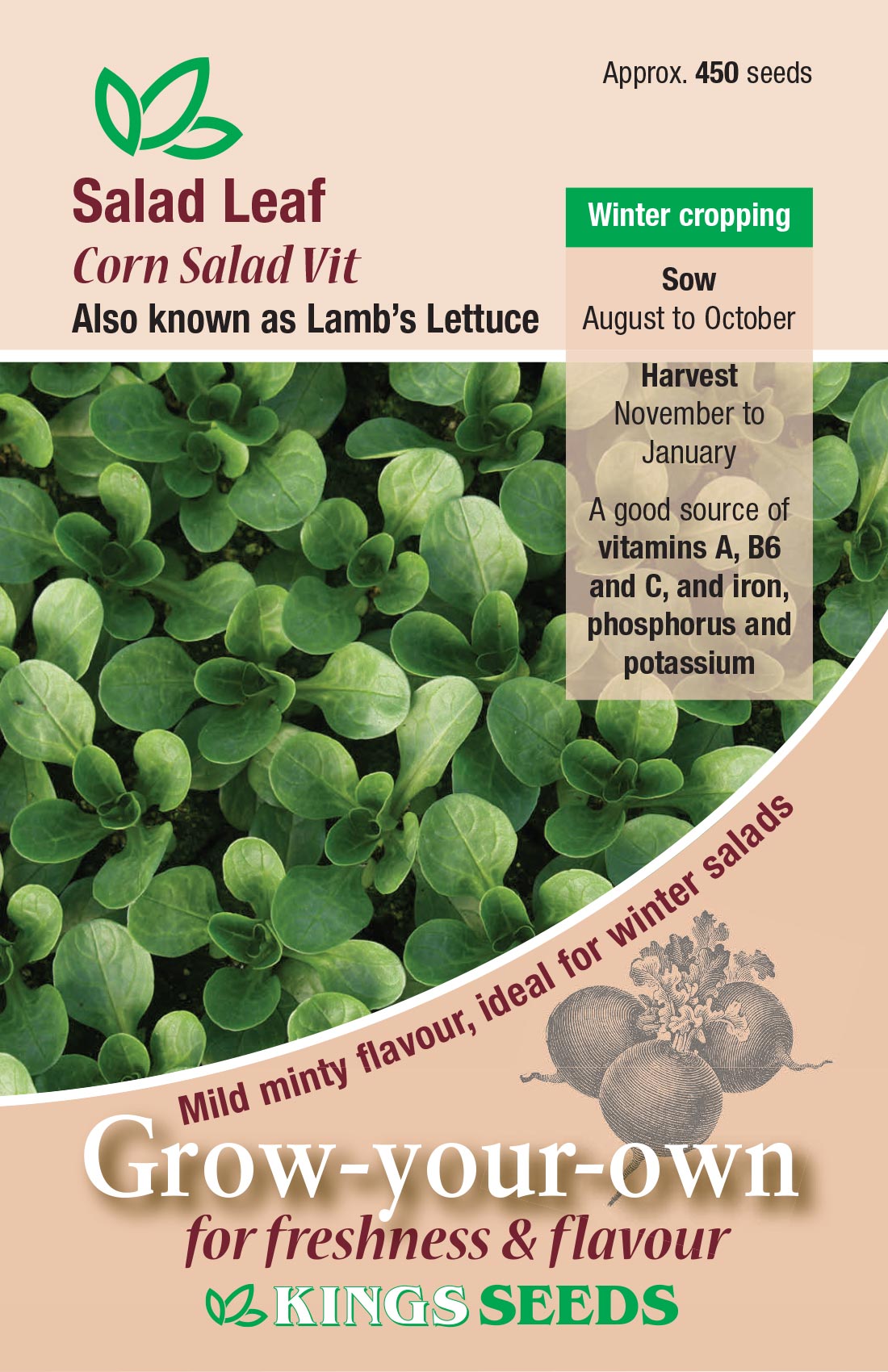 Salad Leaf Lettuce - Mill Race Garden Centre