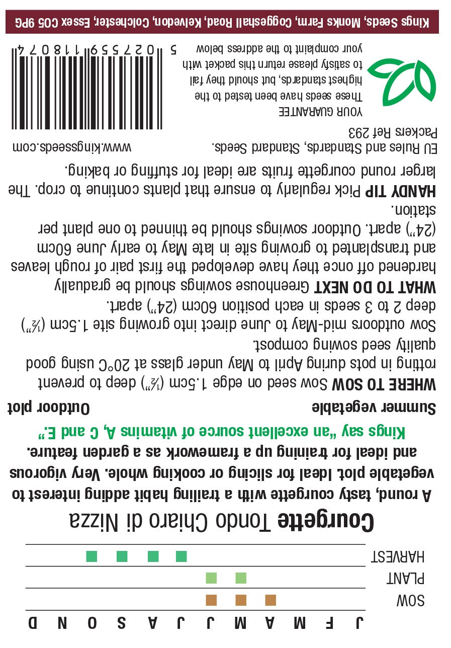 Courgette Tondo Chiaro Di Nizza - Mill Race Garden Centre