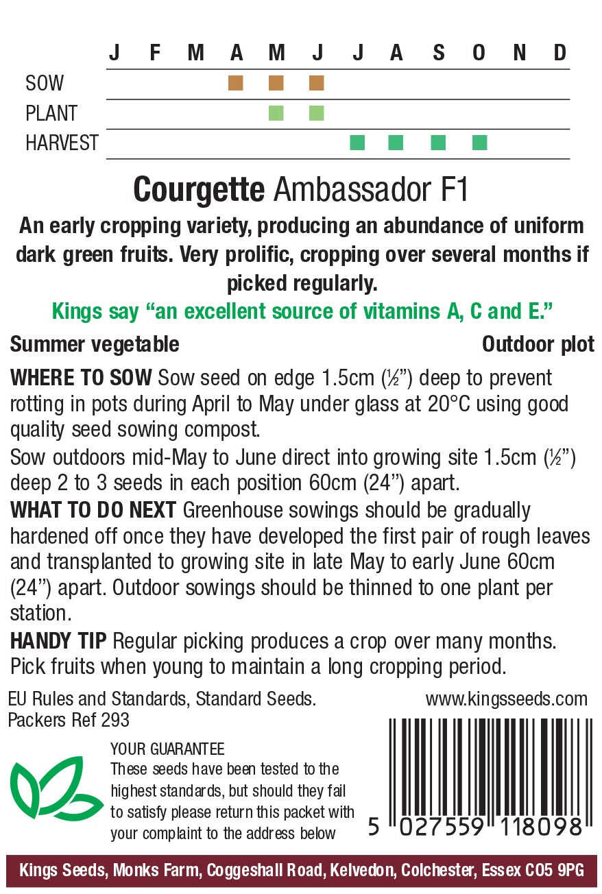 Courgette Ambassador F1 by Kings Seeds - Mill Race Garden Centre