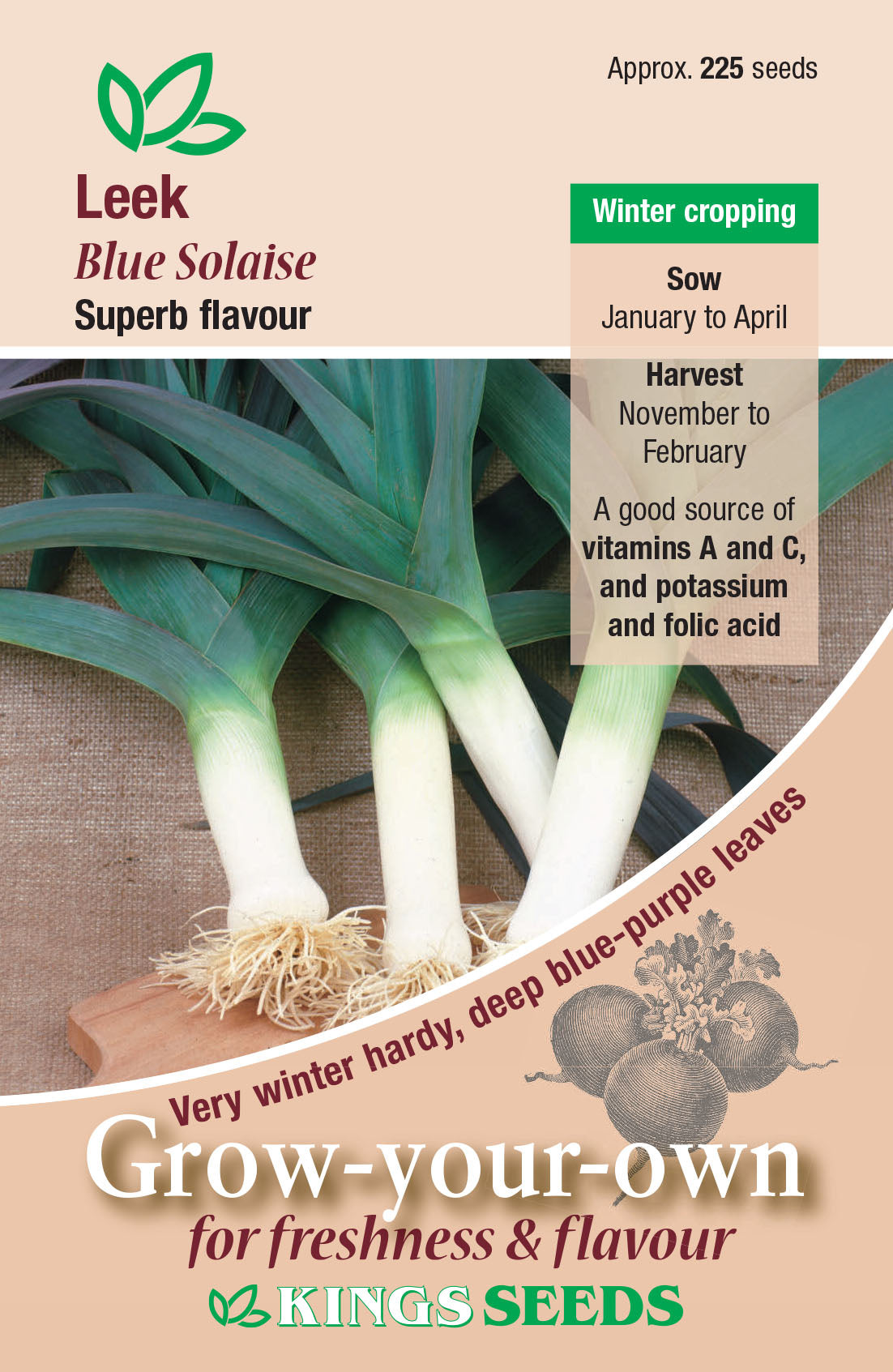 Leek Blue Solaise by Kings Seeds - Mill Race Garden Centre