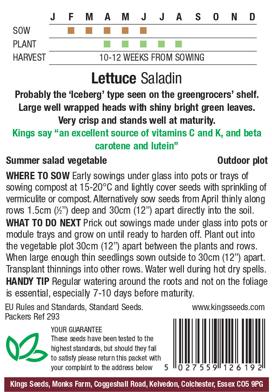 Lettuce Saladin - Mill Race Garden Centre