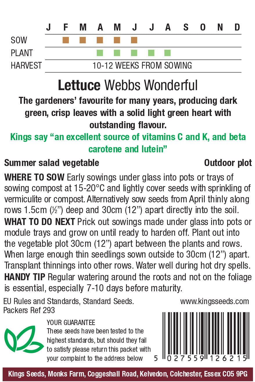 Lettuce Webbs Wonderful - Mill Race Garden Centre