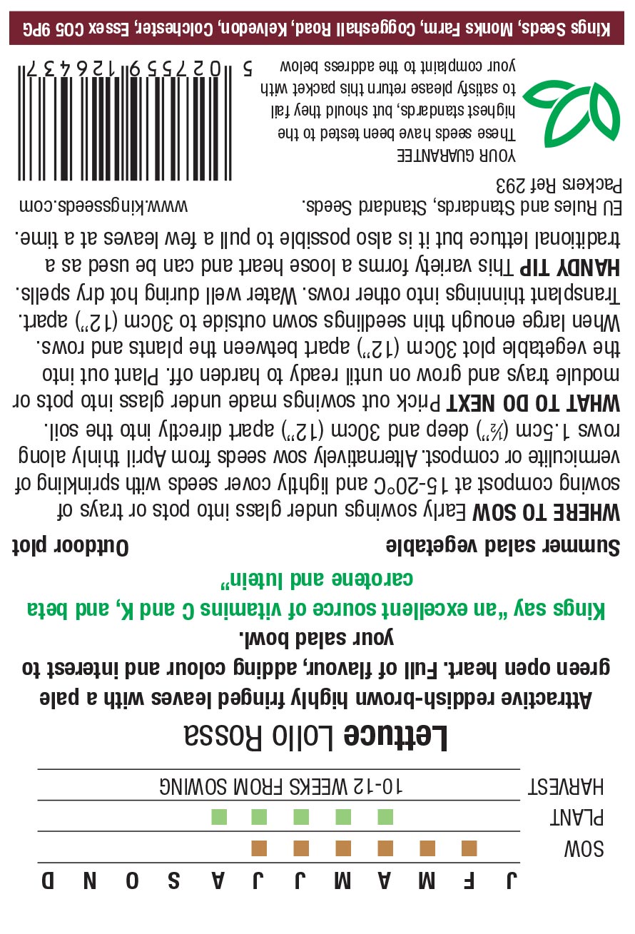 Lettuce Lollo Rossa by Kings Seeds - Mill Race Garden Centre