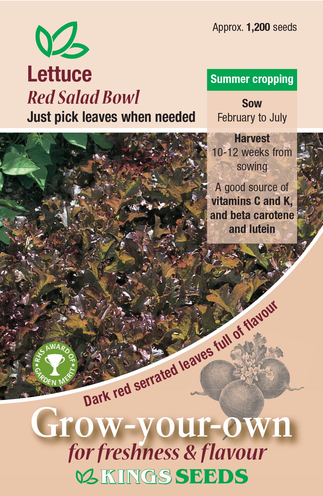 Lettuce Red Salad Bowl by Kings Seeds - Mill Race Garden Centre