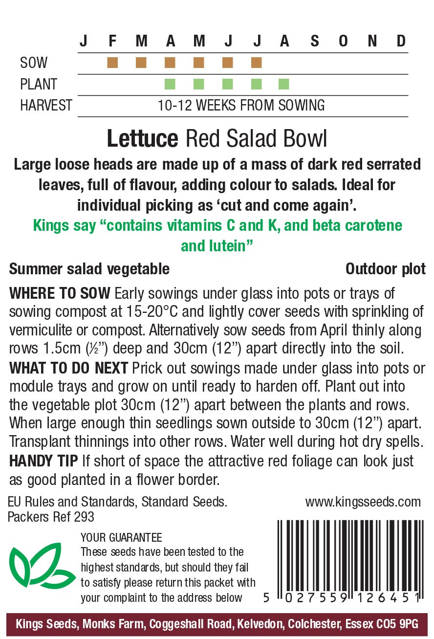 Lettuce Red Salad Bowl by Kings Seeds - Mill Race Garden Centre