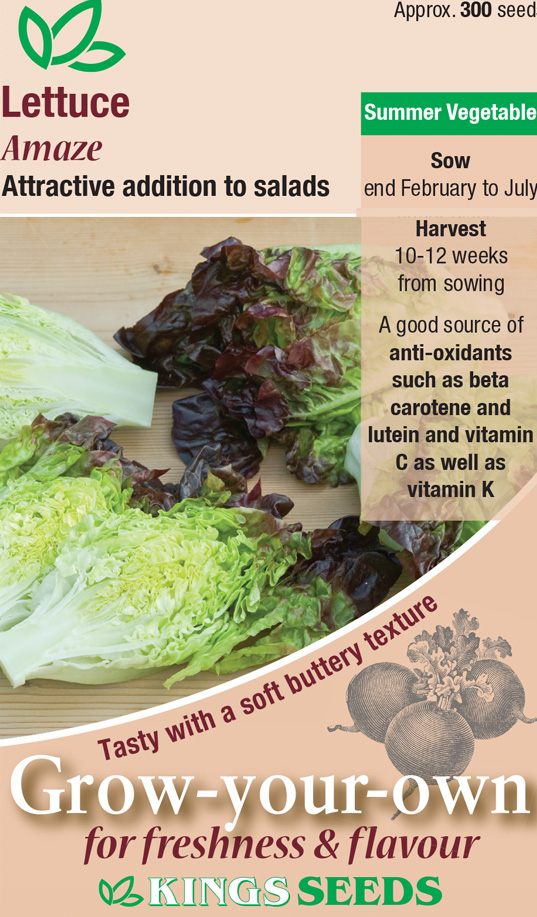 Lettuce Amaze Seeds - Mill Race Garden Centre