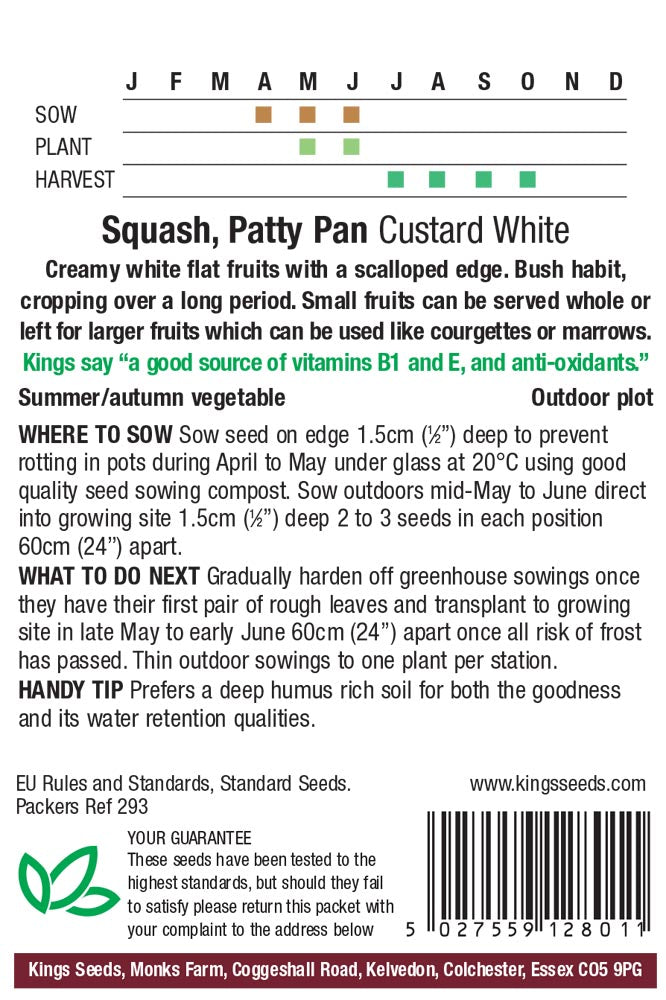 Squash Patty Pan Custard White by Kings Seeds - Mill Race Garden Centre