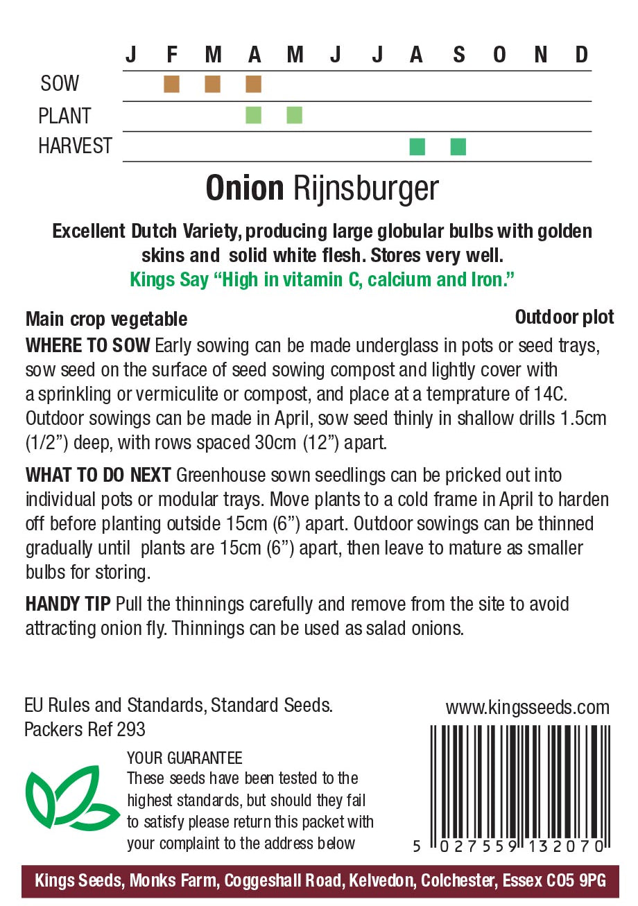 Onion Rijnsburger by Kings Seeds - Mill Race Garden Centre