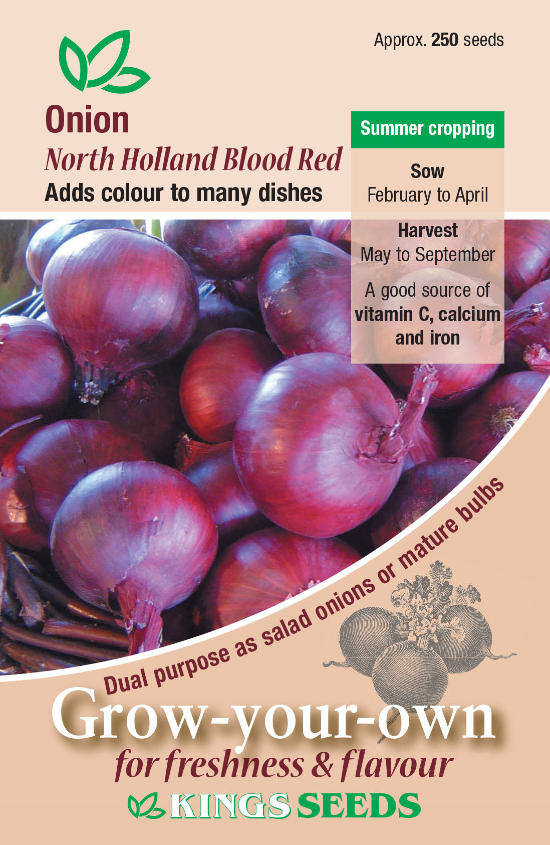Onion North Holland Blood Red by Kings Seeds - Mill Race Garden Centre