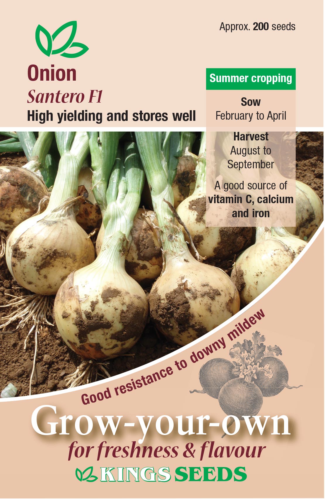 Onion Santero F1 - Mill Race Garden Centre