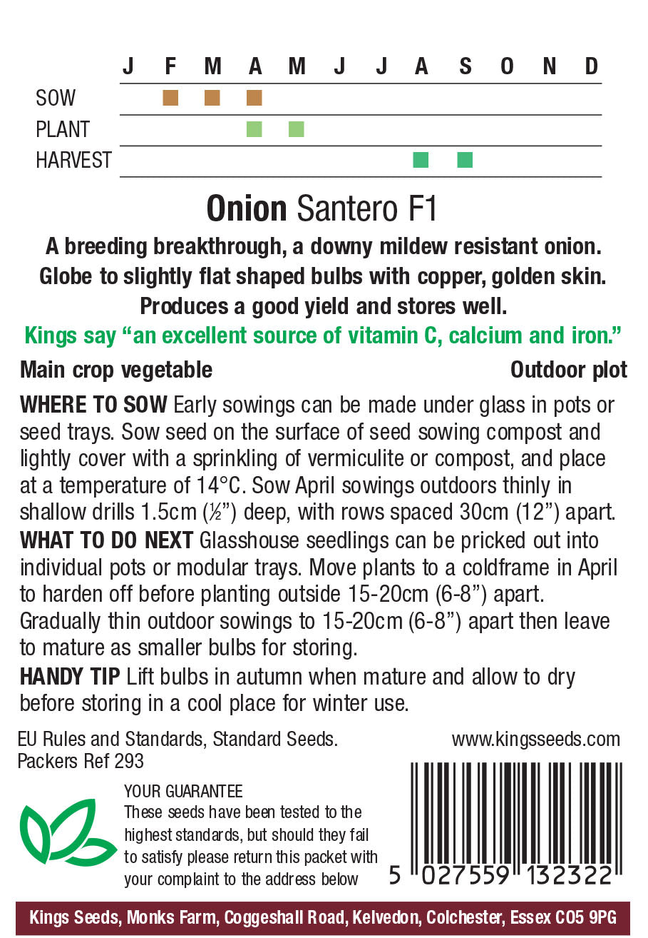 Onion Santero F1 - Mill Race Garden Centre