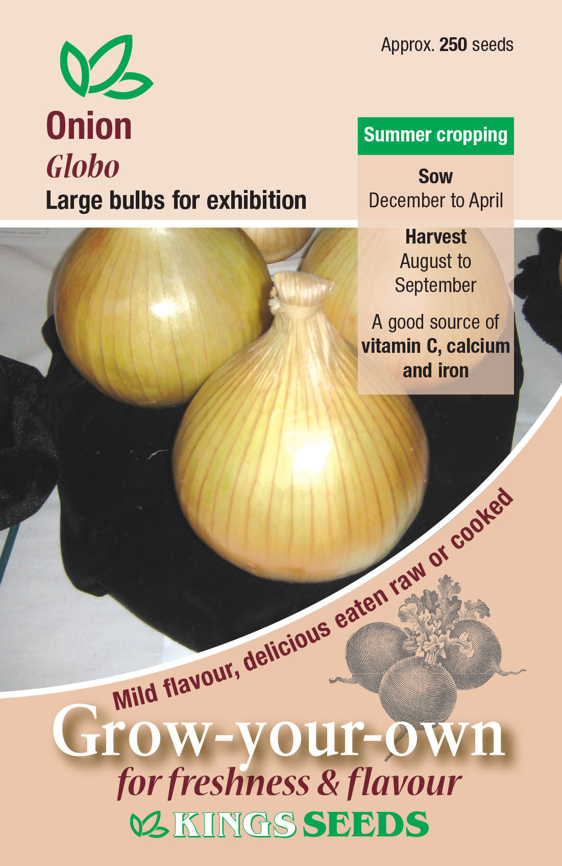 Onion Globo by Kings Seeds - Mill Race Garden Centre