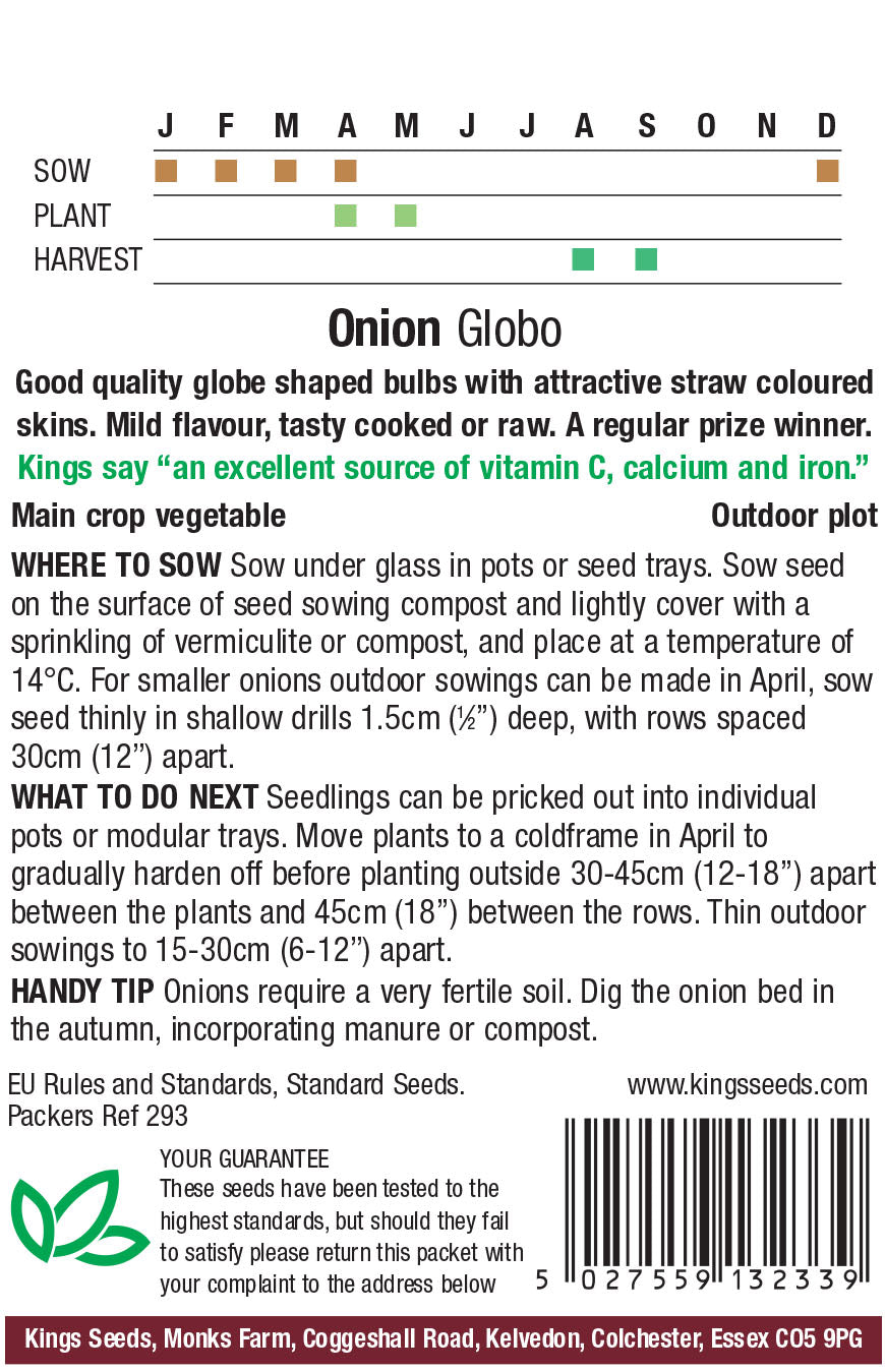 Onion Globo by Kings Seeds - Mill Race Garden Centre