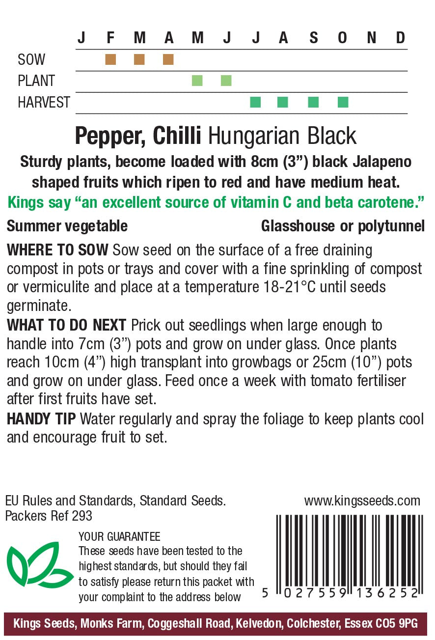 Pepper Hungarian Black - Mill Race Garden Centre