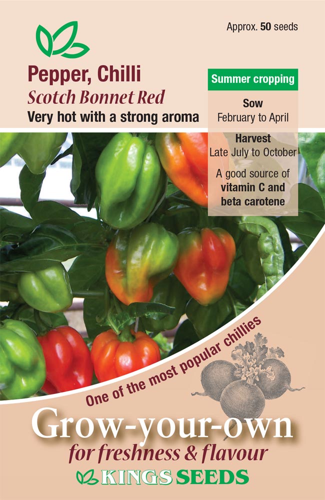 Chilli Scotch Bonnet Red by Kings Seeds - Mill Race Garden Centre