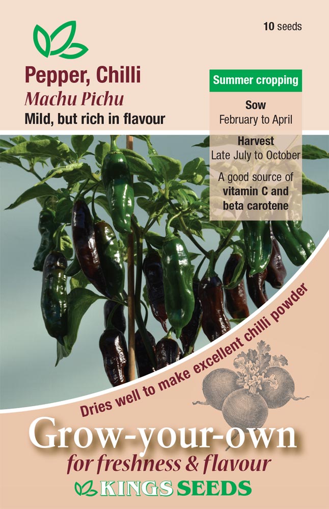 Chilli Pepper Machu Pichu by Kings Seeds - Mill Race Garden Centre