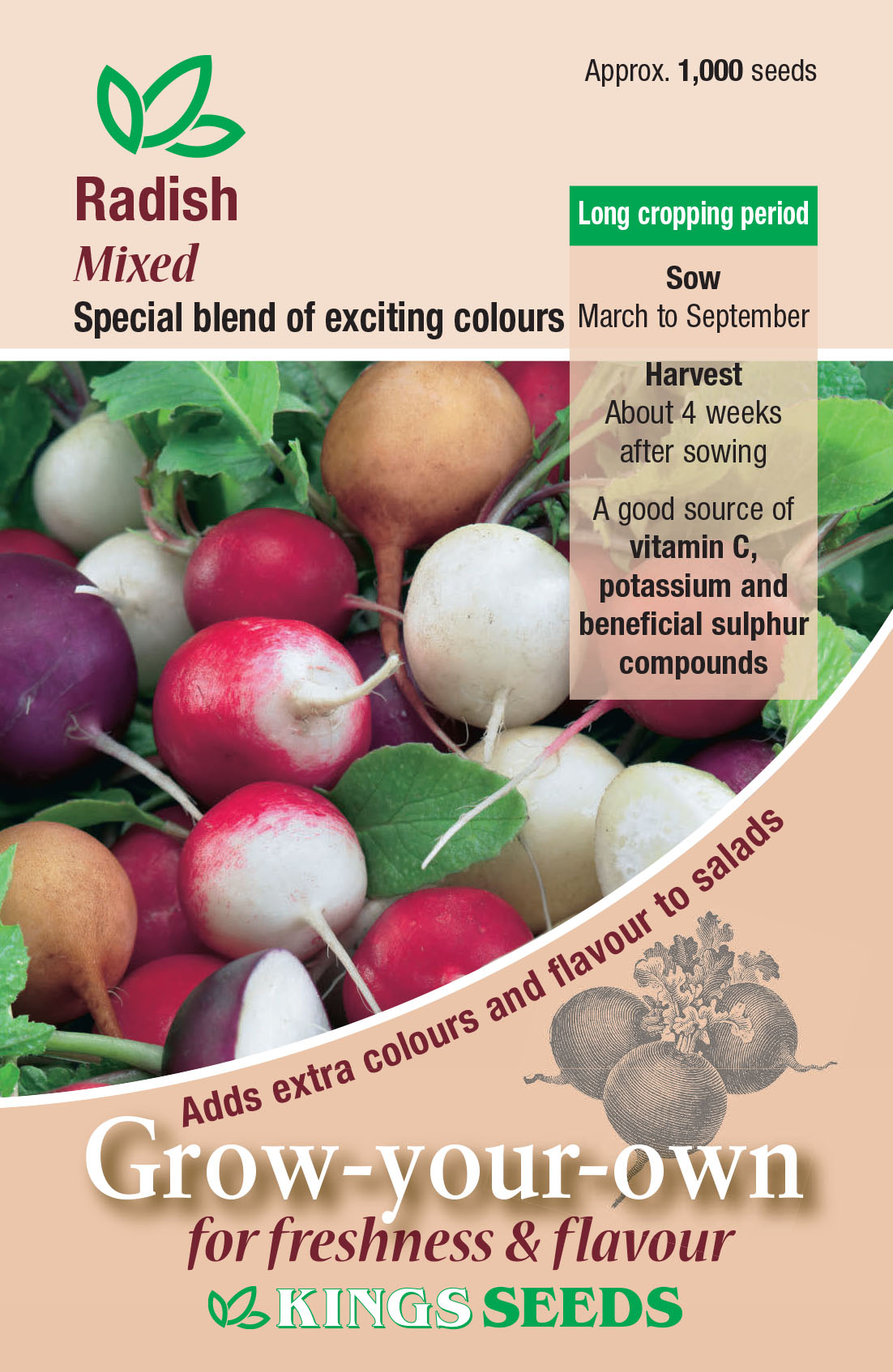 Mixed Organic Radish Seeds - Mill Race Garden Centre