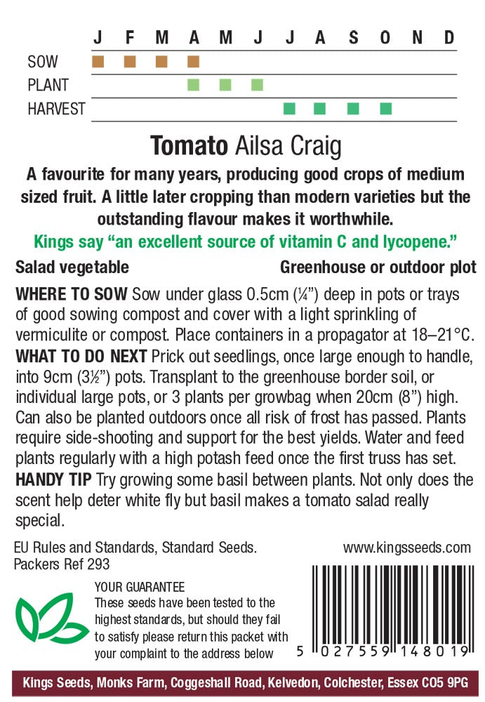 Tomato Ailsa Craig - Mill Race Garden Centre
