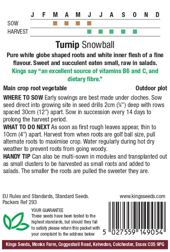 Turnip Snowball by Kings Seeds - Mill Race Garden Centre