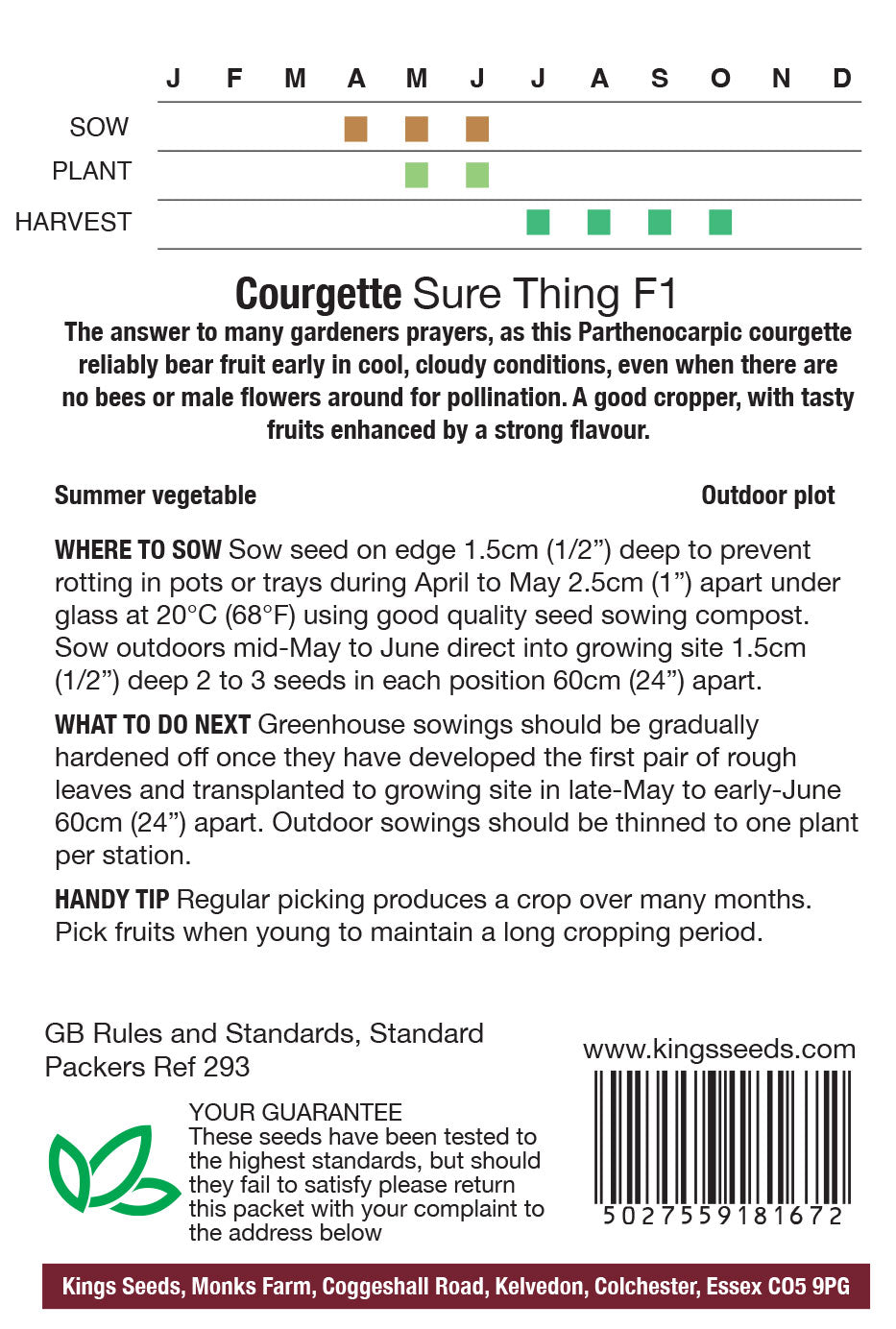 Courgette Sure Thing F1 - Mill Race Garden Centre