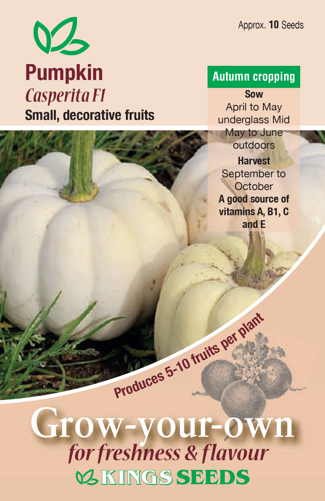 Pumpkin Casperita F1 by Kings Seeds - Mill Race Garden Centre