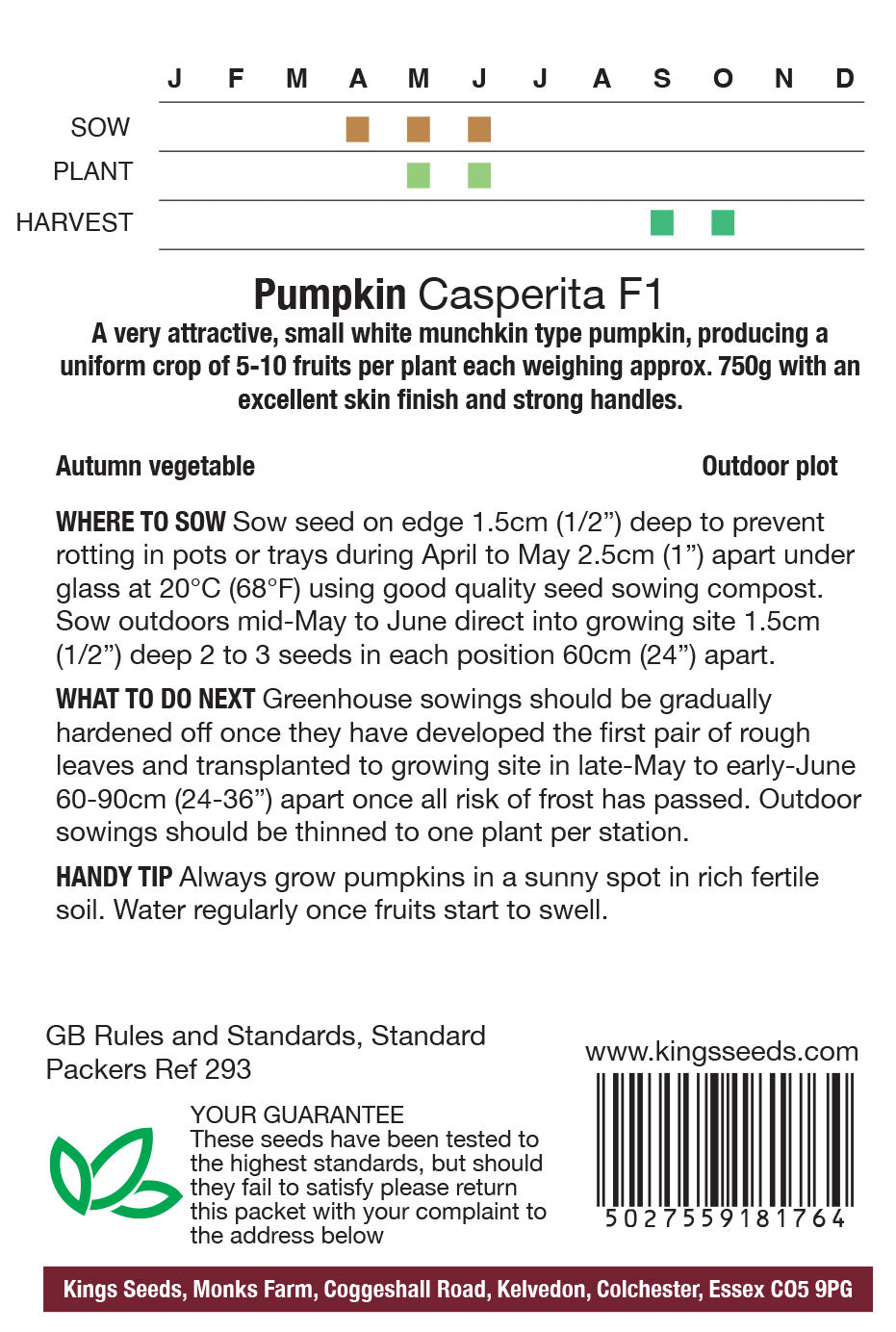 Pumpkin Casperita F1 by Kings Seeds - Mill Race Garden Centre