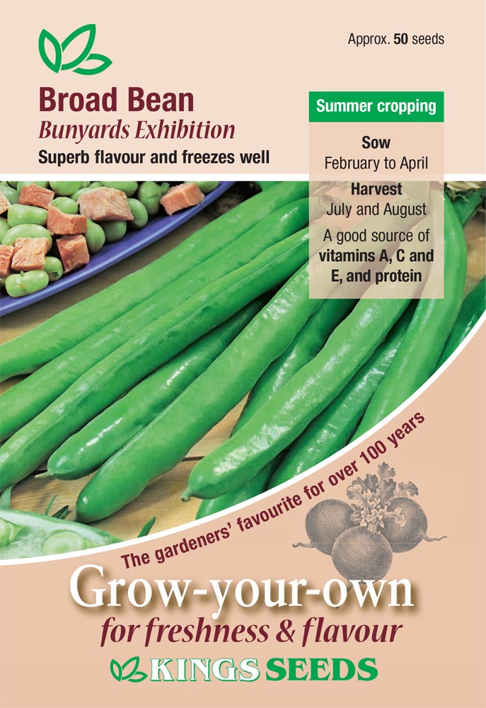 Broad Bean Bunyards Exhibition by Kings Seeds - Mill Race Garden Centre